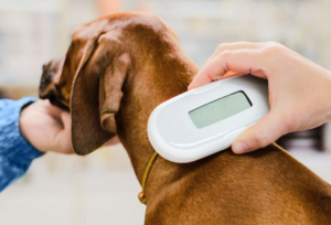Pet-Microchips