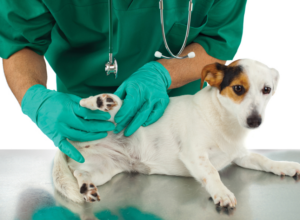 Prolotherapy